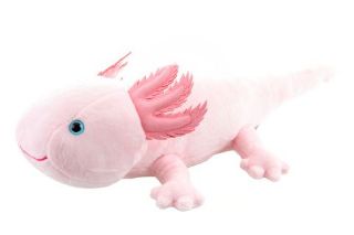 Obrázek z Axolotl plyš 32cm ECO 